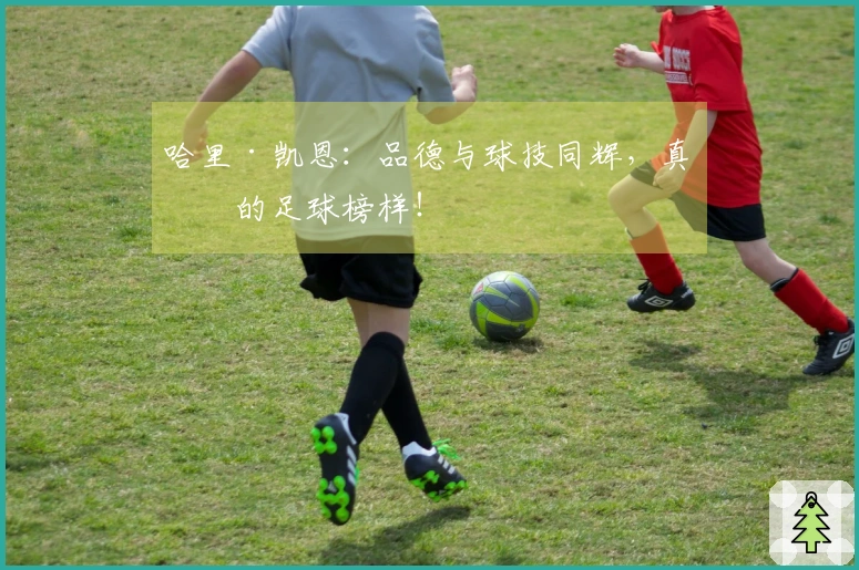 哈里·凯恩：品德与球技同辉，真正的足球榜样！