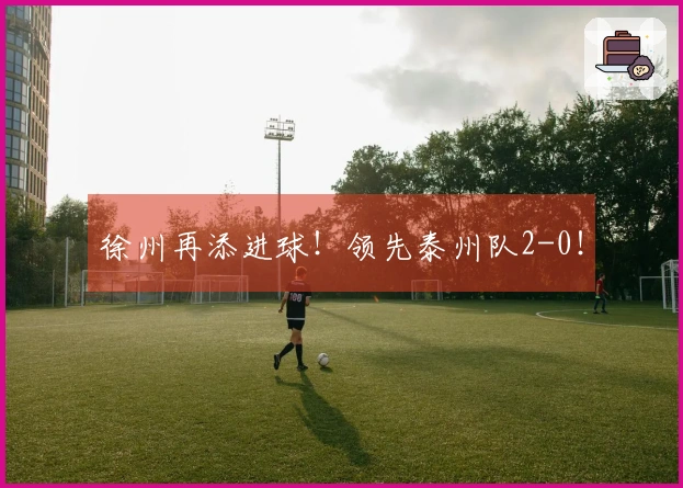徐州再添进球！领先泰州队2-0！