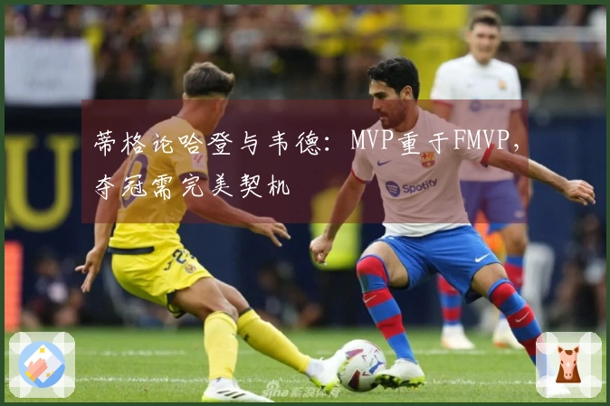 蒂格论哈登与韦德：MVP重于FMVP，夺冠需完美契机