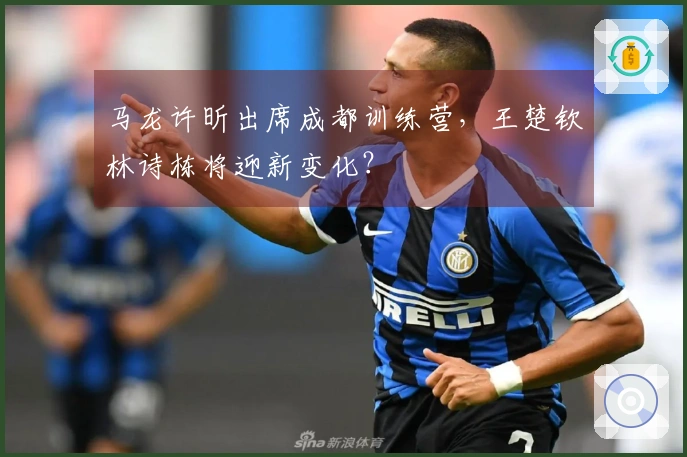 马龙许昕出席成都训练营，王楚钦林诗栋将迎新变化？